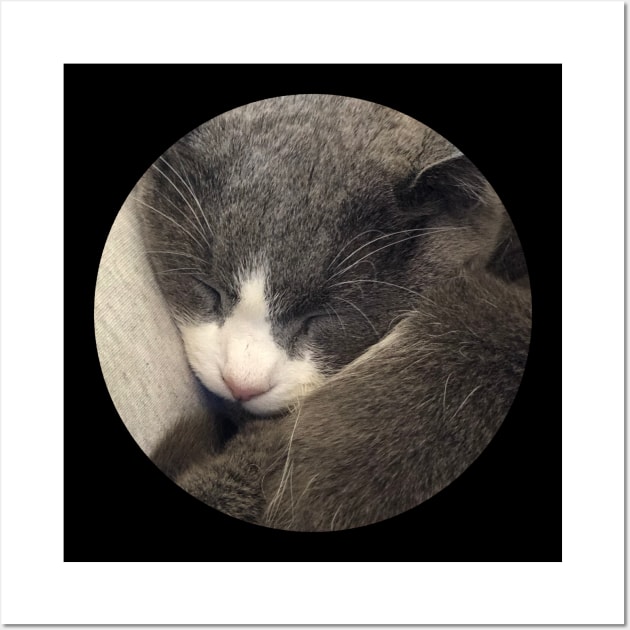 Sleeping Cat / Pictures of My Life Wall Art by nathalieaynie